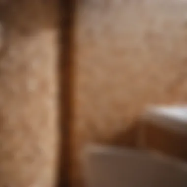 Detailed view of grout drying process in bathroom corner
