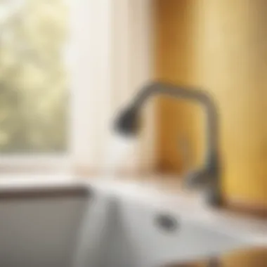 Close-Up of High-Quality Laundry Faucet Sprayer