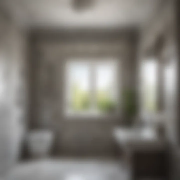 Proactive Mold Prevention Strategy Preventing Mold Regrowth in the Bathroom