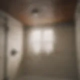 Effective Mold Removal Solution