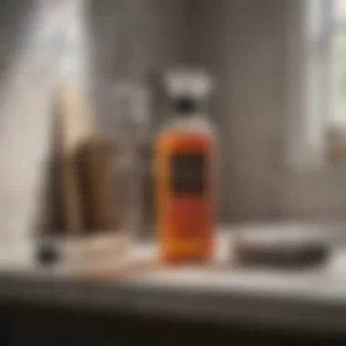 Cleaning supplies for mold removal