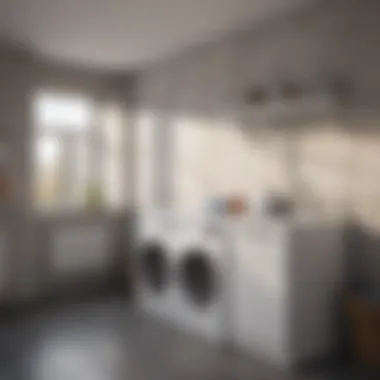 Hygiene maintenance with laundry tub