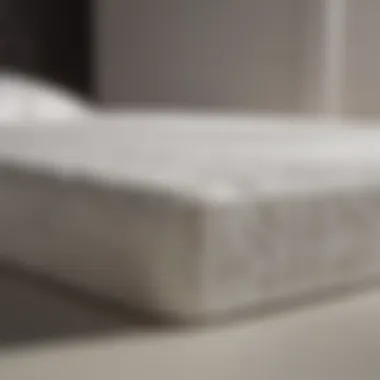 Advanced Hypoallergenic Latex Technology Hypoallergenic Latex Feature