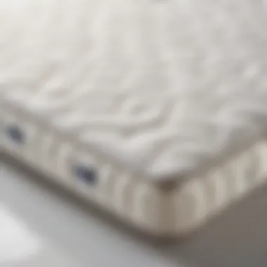 Hypoallergenic and Water-Resistant Features