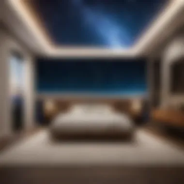 Starry Night Wall Mural