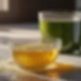 Natural Ingredients for DIY Detergent Sheets Eco-friendly laundry detergent sheets ingredients