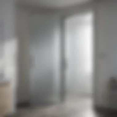 Elegant Frosted Glass Door Frosted glass bathroom door providing privacy