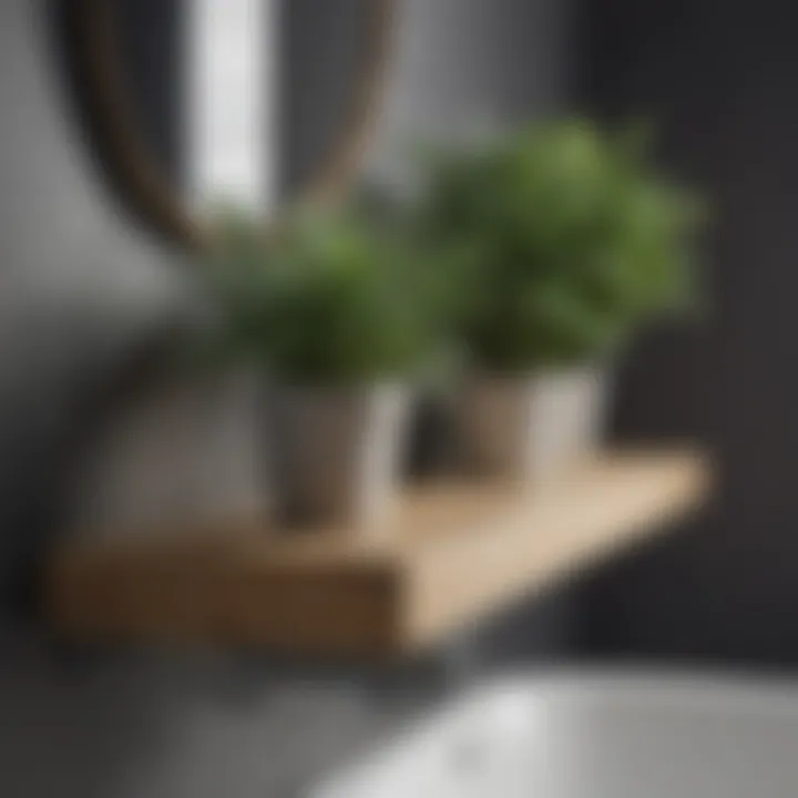 Elegant wooden shelf with decorative plants in a modern bathroom