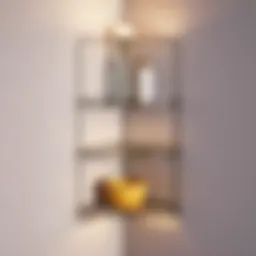 Innovative Corner Storage Shelf