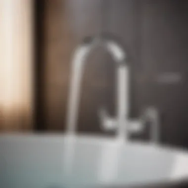 Luxurious Long Neck Faucet