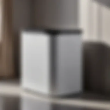 Revolutionary Design Elements Innovative features of blomus laundry bin highlighted