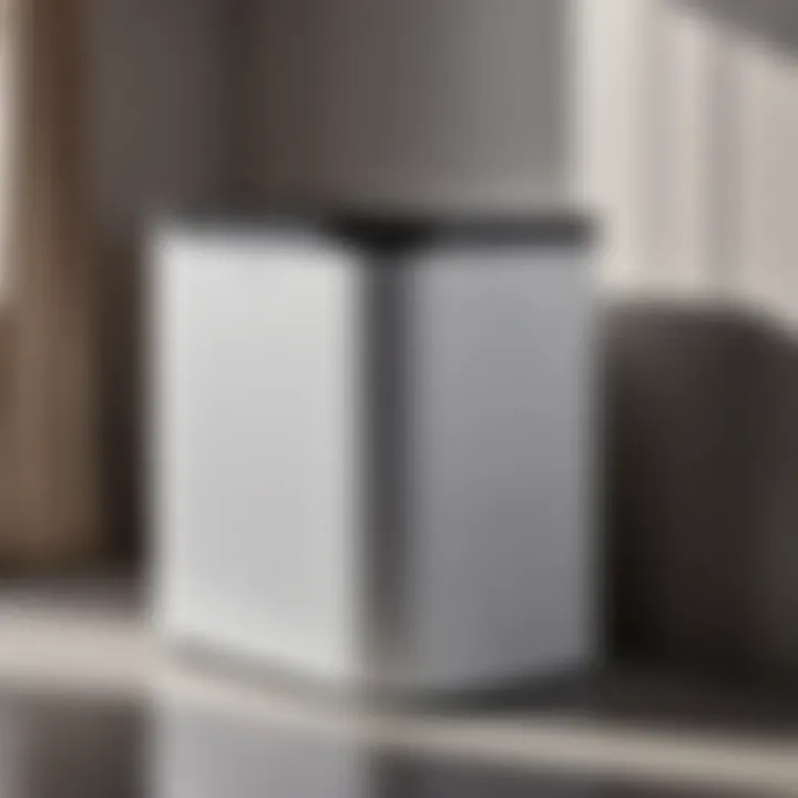 Revolutionary Design Elements Innovative features of blomus laundry bin highlighted