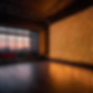 Immersive Lighting for Mood Enhancement Immersive Lighting Concept