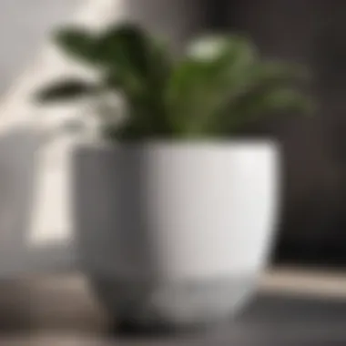 Abstract geometric plant pot in black and white