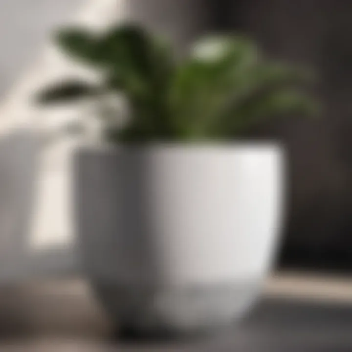 Abstract geometric plant pot in black and white