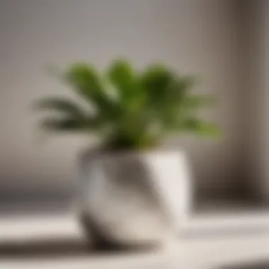 Minimalist marble-patterned plant pot