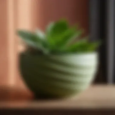 Unique spiral-shaped plant pot