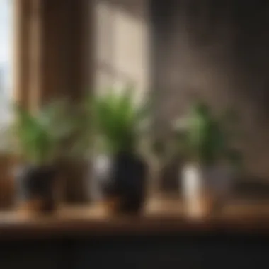 Natural Harmony Modern indoor plants displayed artistically on a wooden shelf