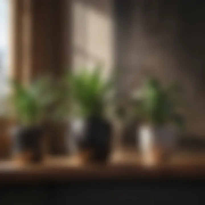Natural Harmony Modern indoor plants displayed artistically on a wooden shelf