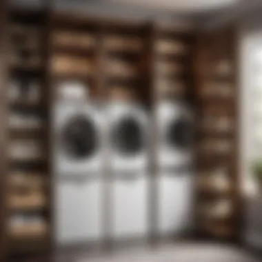 Smart storage solutions in a laundry pantry combo