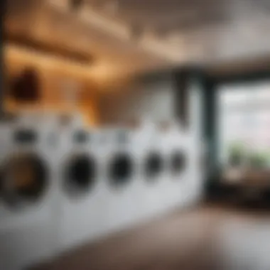 Innovative Laundry Services Innovative Laundry Services at Quantum Lounge Anchorage