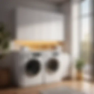 Innovative laundry wall hanging space design