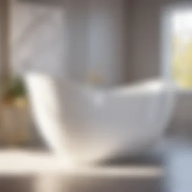 Innovative Material Bathtub Chair Innovative Material Bathtub Chair