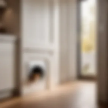 Innovative transparent cat door allowing visibility into the laundry room