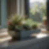 Succulent Serenity Elegantly Displayed Succulents on Bathroom Window Sill