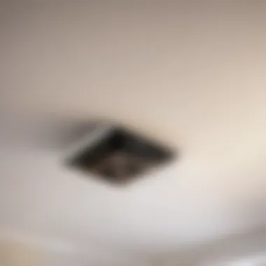 Installation Process of 14-Inch Bathroom Exhaust Fan