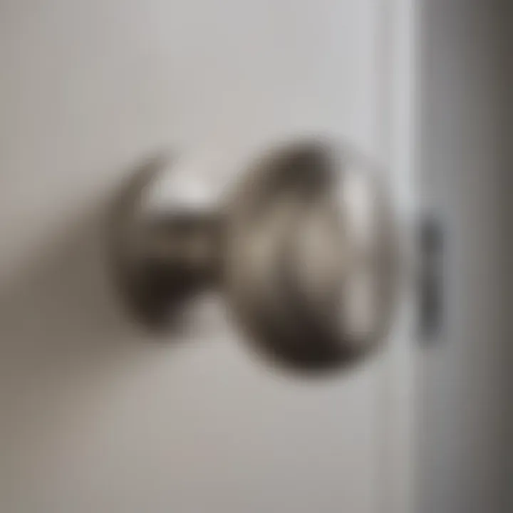 Modern Brushed Nickel Bathroom Door Knob Close-up of a modern bathroom door knob made of brushed nickel