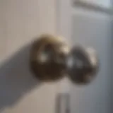 Diverse Bathroom Door Knob Designs Sophisticated collection of bathroom door knobs showcasing variety in design