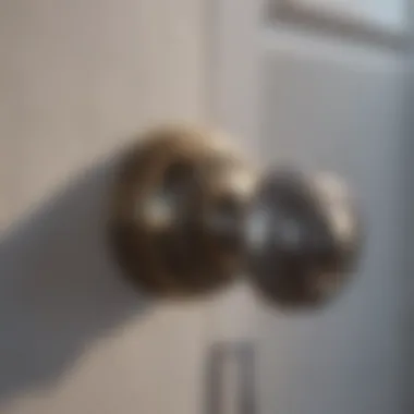 Diverse Bathroom Door Knob Designs Sophisticated collection of bathroom door knobs showcasing variety in design