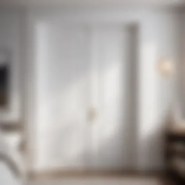 Simplicity Redefined in White Bedroom Door Minimalist bedroom door in clean white finish