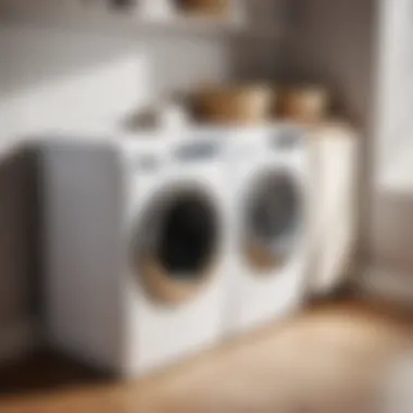 Size Options Offered by Joseph Joseph Laundry Bins