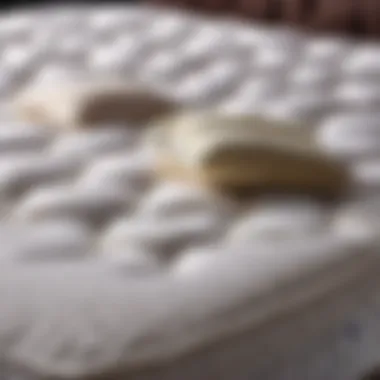 Easy Maintenance Tips for King Size Cotton Mattress Pad