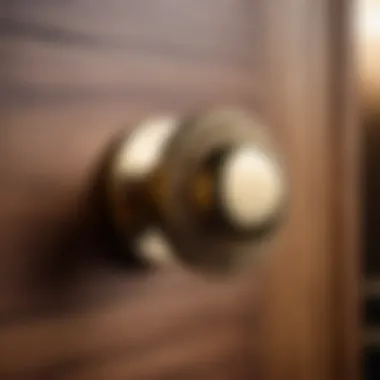 Minimalist brass knob on wooden bathroom cabinet