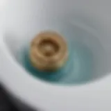 Illustration demonstrating the internal components of the Kohler bathtub pop-up drain stopper