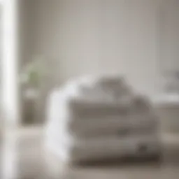 Lacoste Bath Towel Set in Opulent White