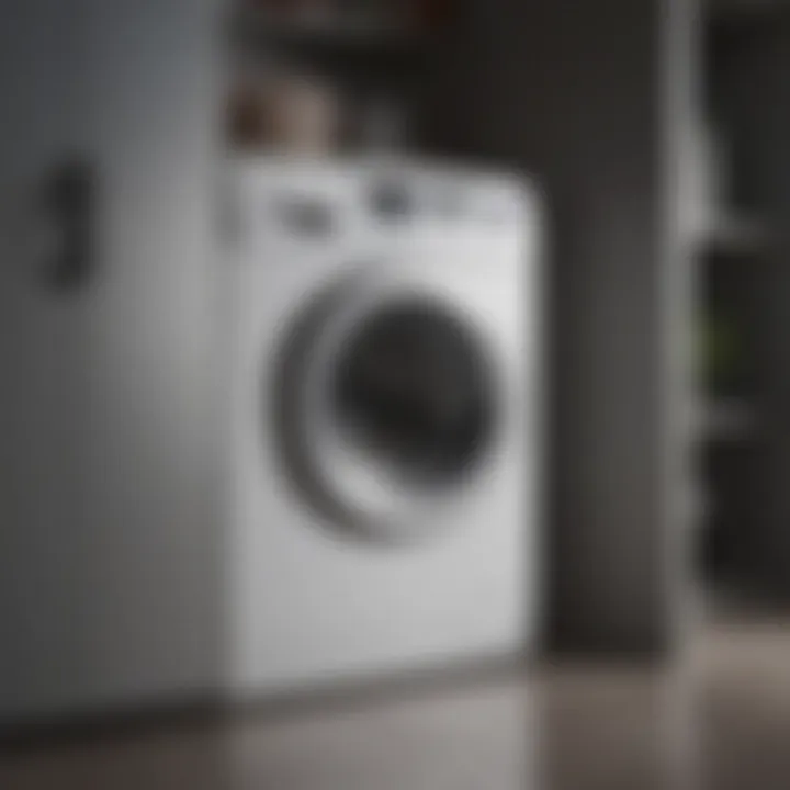 Interior Features of a Manual Compact Washer Interior of a manual compact washer showcasing its features