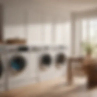 Efficient Laundry Sorting Laundry sorting system