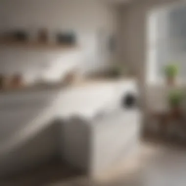 Efficient Movement and User Convenience in Design User-friendly laundry tub demonstrating ease of movement and efficiency