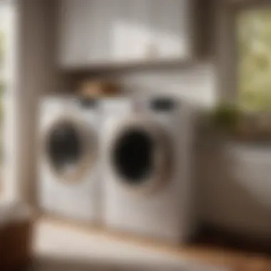 LG laundry suite with advanced stain removal feature