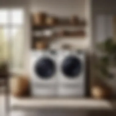 Modern LG washer and dryer combo in sleek design
