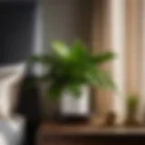 Elevate Your Bedside Table with Lush Fake Plants Lush fake plant arrangement on bedside table