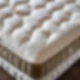 Luxurious Air Mattress with Plush Pillow Top