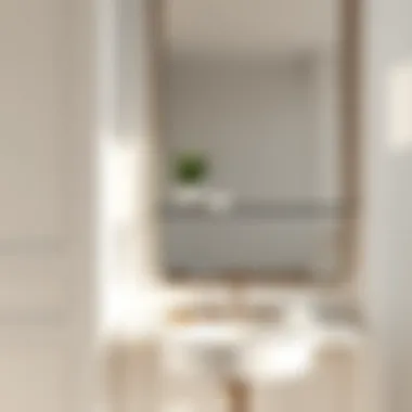 Luxurious bathroom setting featuring a mirror with shelf