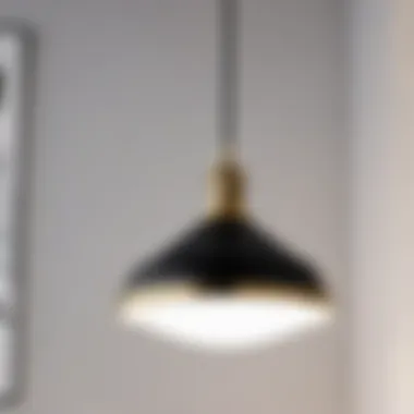 Chic Pendant Lighting Fixture Luxurious black and brass pendant light hanging in bathroom