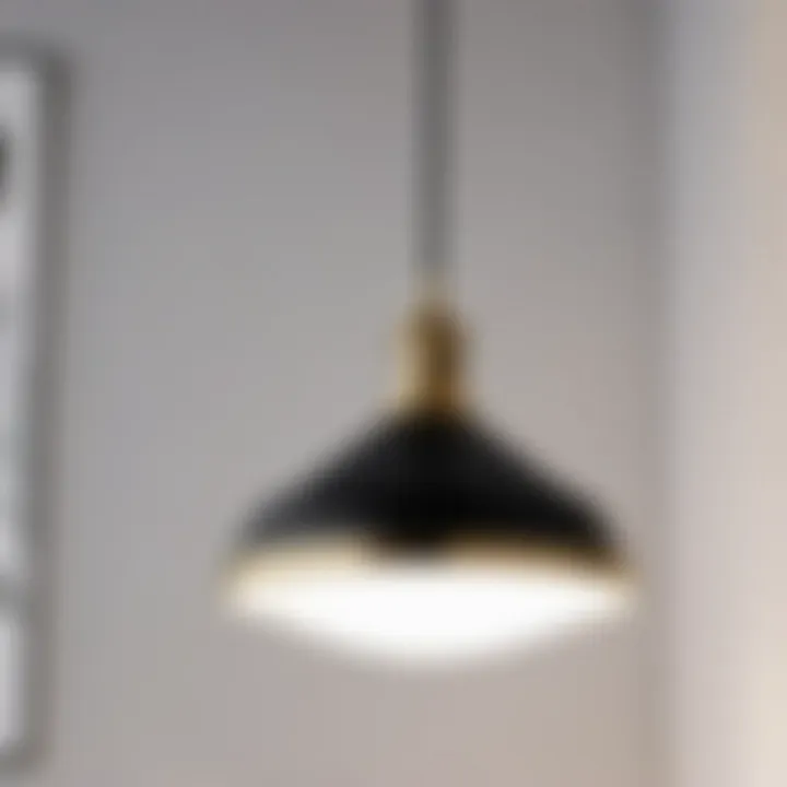 Chic Pendant Lighting Fixture Luxurious black and brass pendant light hanging in bathroom