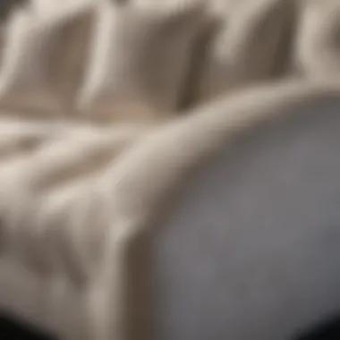 Luxurious Comfort and Support in Gel Foam Sleeper Sofa Mattress Luxurious Comfort and Support in Gel Foam Sleeper Sofa Mattress